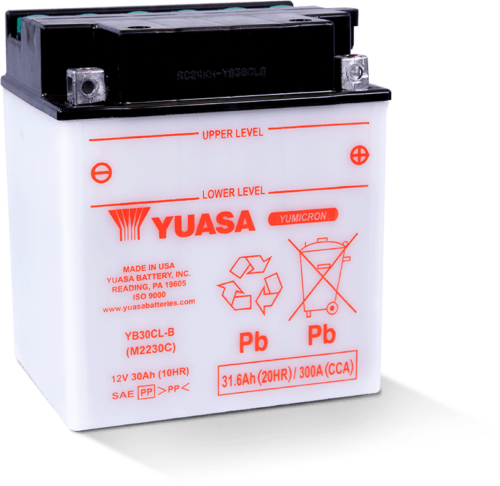 Yuasa YB30CL-B Yumicron For CX 12 Volt Battery YUAM2230CTWN