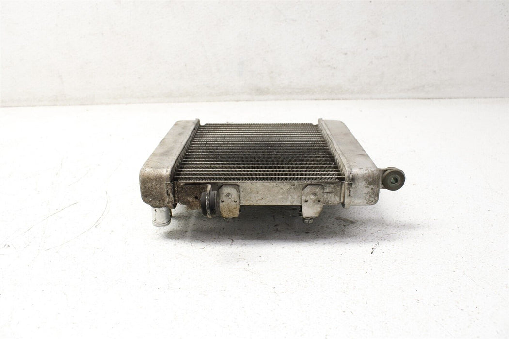 2006 Honda Reflex 250 NSS250 Coolant Radiator Cooling Unit Assembly OEM 01-07