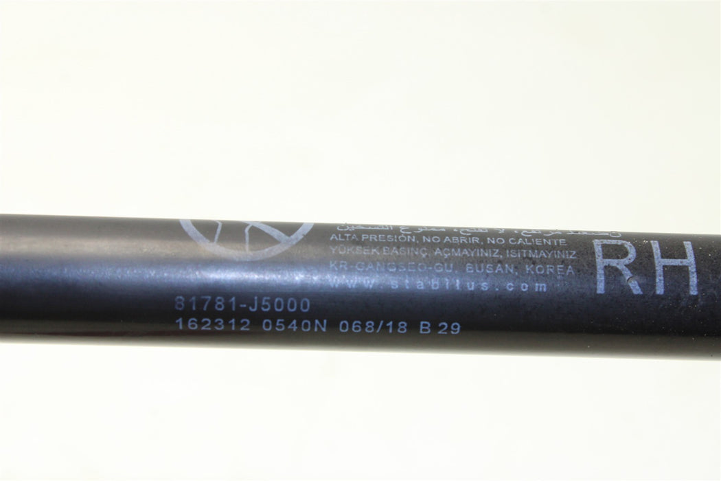 47509615