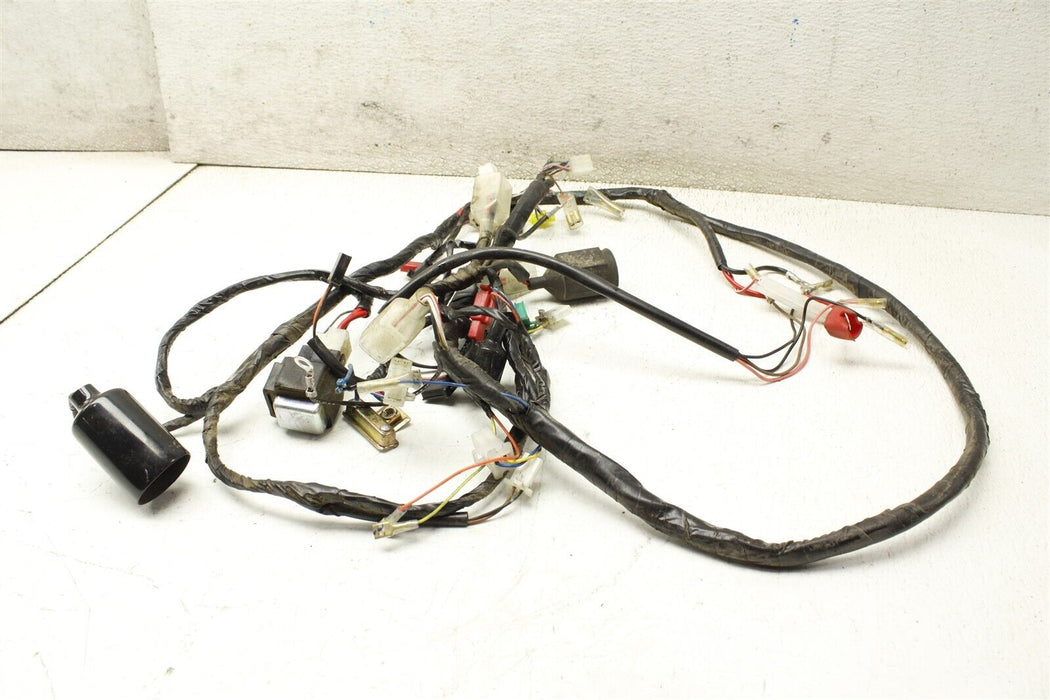 2021 Genuine Scooter Buddy 50 Main Wiring Bulk Harness Assembly Factory OEM 21