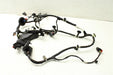 47889620