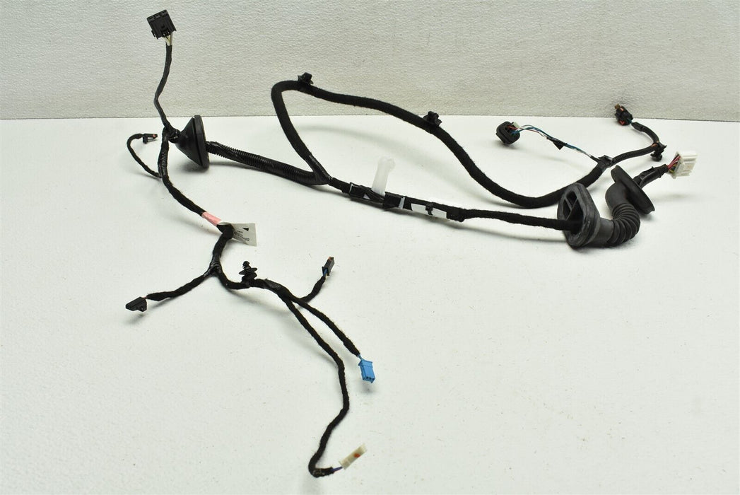 2017-2020 Tesla Model 3 Rear Left Door Wiring Harness 2067965-00-A 17-20