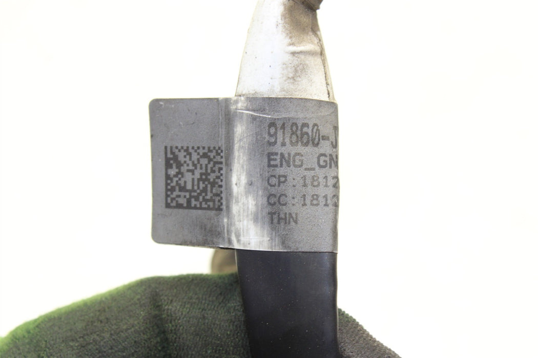 47005953