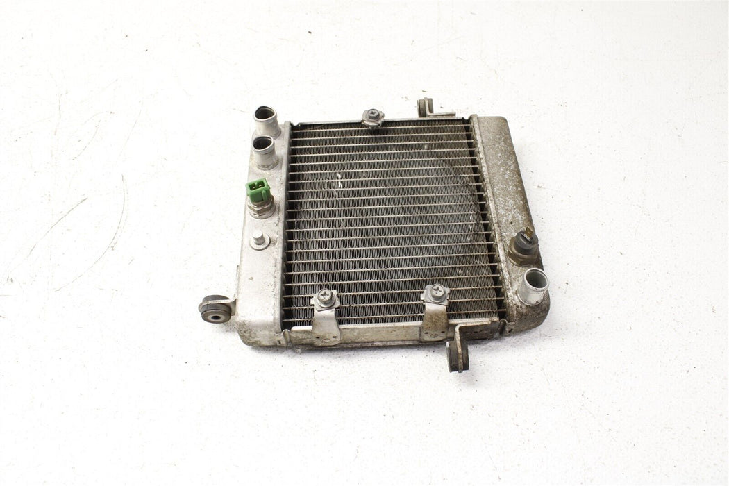 2006 Honda Reflex 250 NSS250 Coolant Radiator Cooling Unit Assembly OEM 01-07