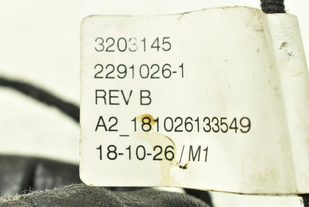 47058733