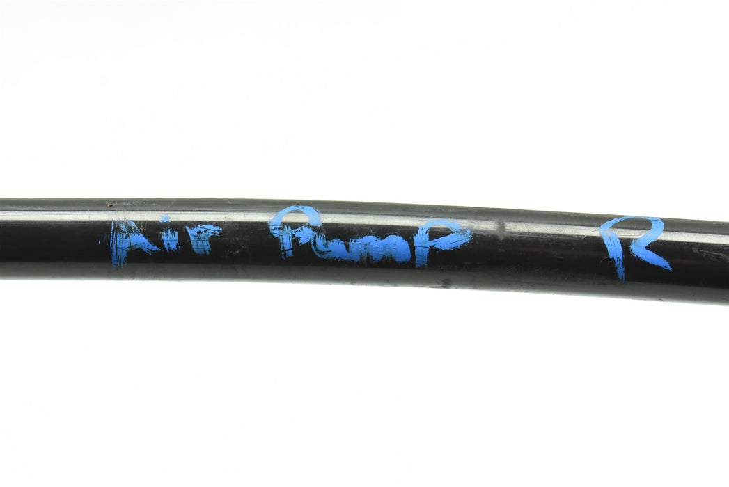 47055020