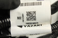 47889629