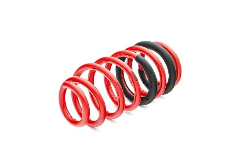 Eibach E10-27-004-01-22 PRO KIT Lowering Springs for 15-21 Challenger Scat Pack