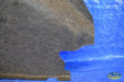 47010269