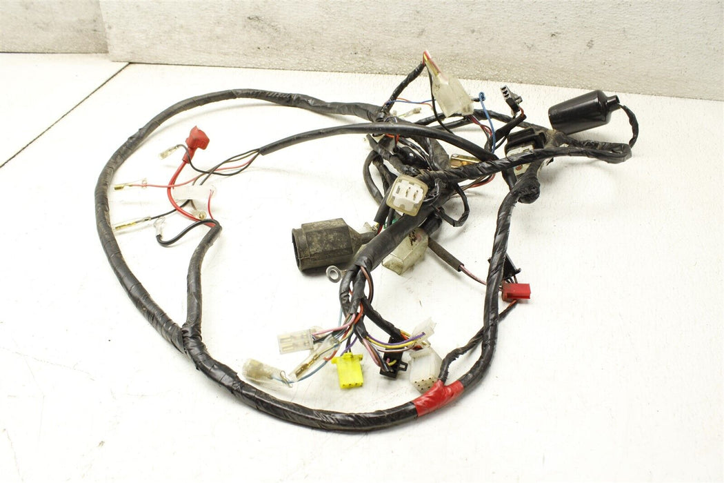 2021 Genuine Scooter Buddy 50 Main Wiring Bulk Harness Assembly Factory OEM 21