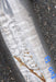 47842030