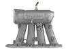 46435406