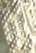 47560040