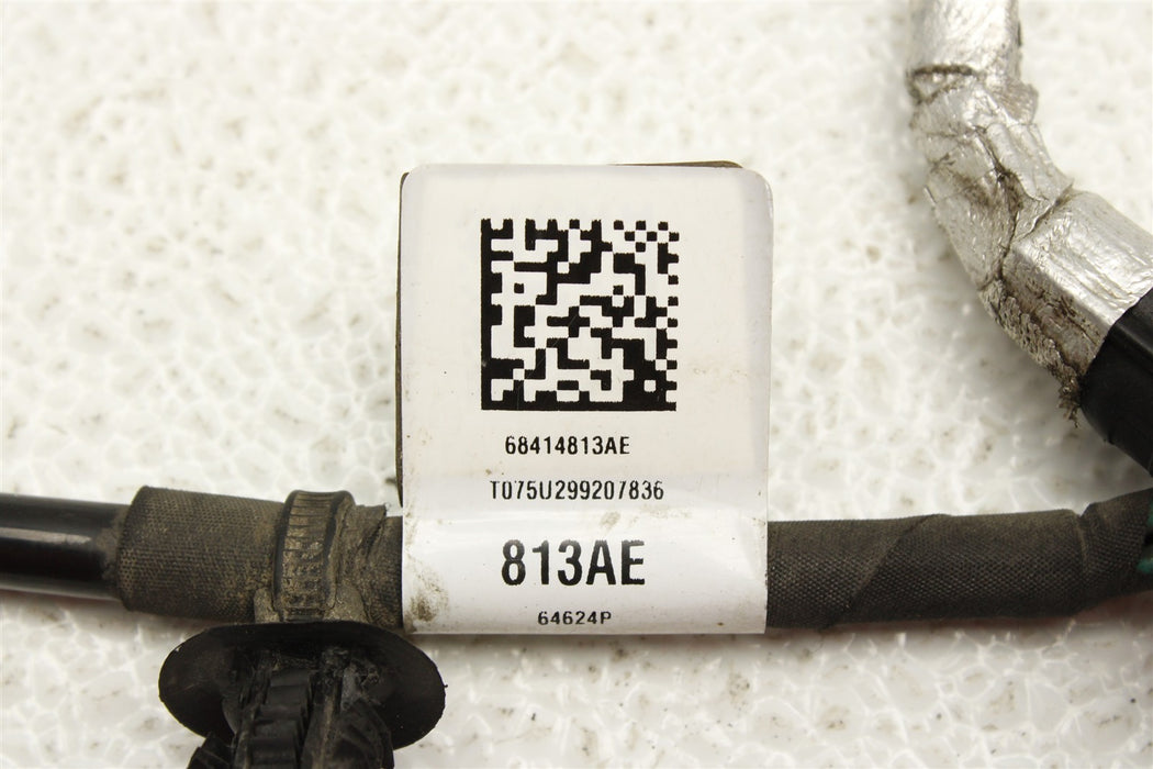 47895564