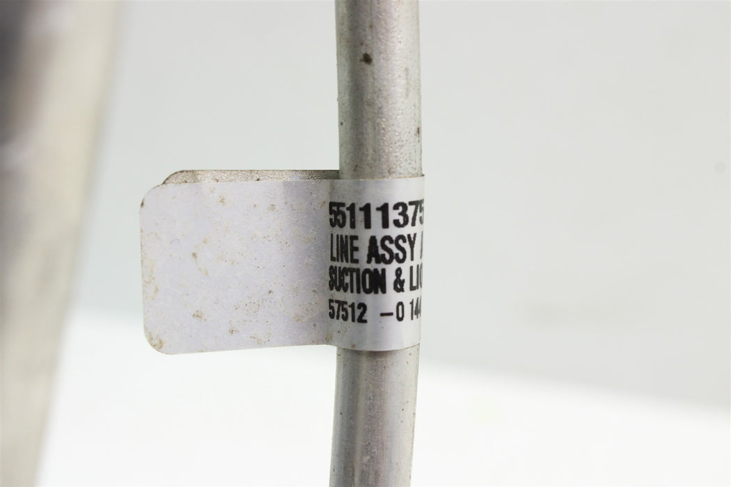 46951316