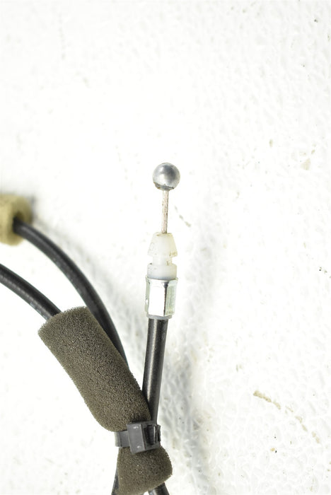 47054972