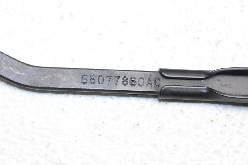46947559
