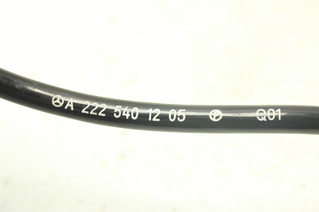 47518669