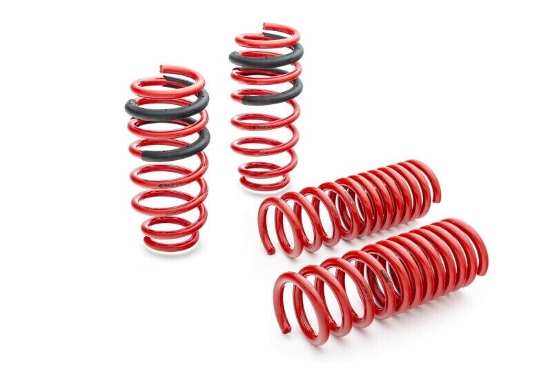 Eibach E10-27-004-01-22 PRO KIT Lowering Springs for 15-21 Challenger Scat Pack