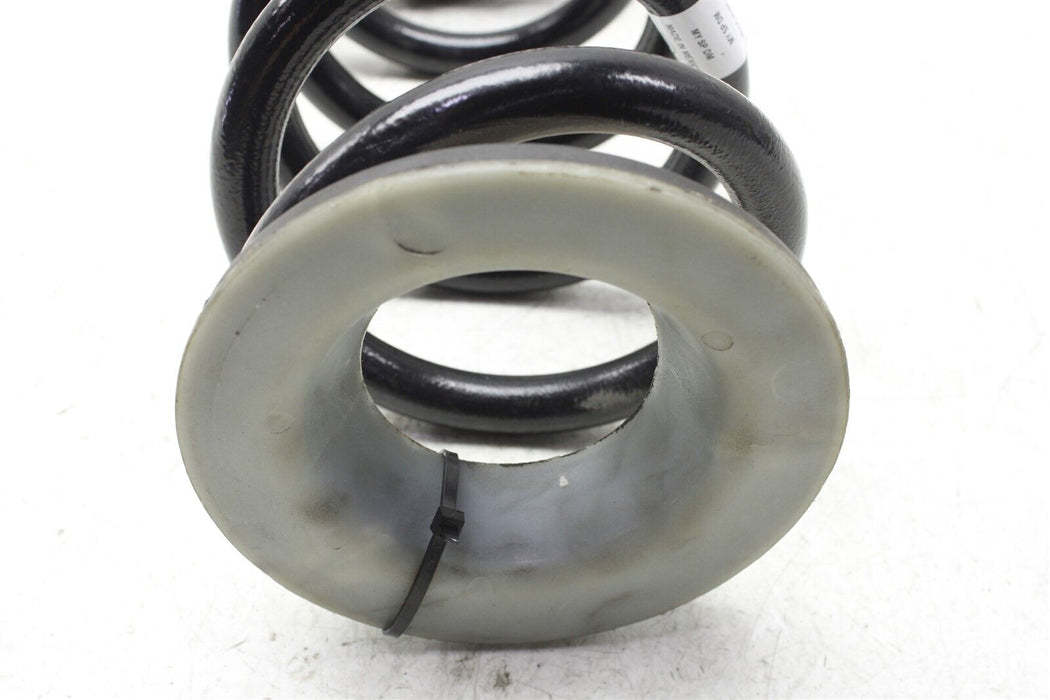 2024 Tesla Model Y Suspension Strut Spring Coil 20-24