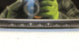 47701150