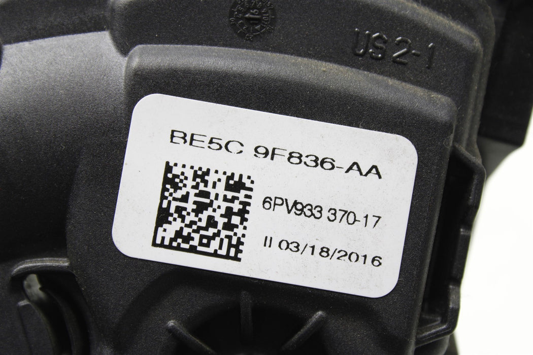 46906018