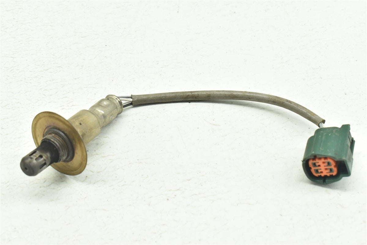 ポロロ 57_10aeceae-73ec-4dc7-97a9-