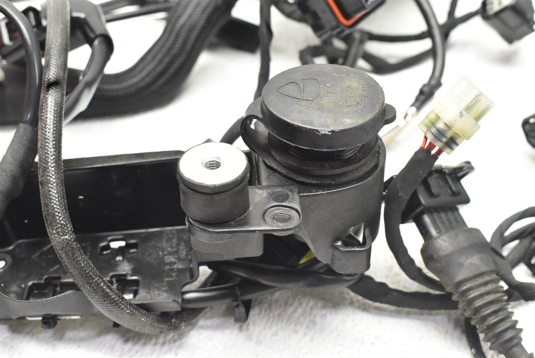2020 Ducati Hypermotard 950 Main Wiring Harness Wires 19-22