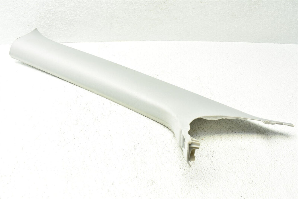 2017-2019 Tesla Model 3 Left A Pillar Trim Cover Panel Driver LH 17-19